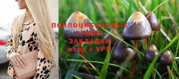 МДМА Белокуриха