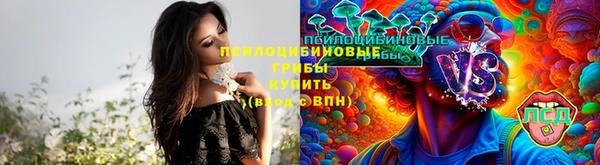 МДМА Белокуриха