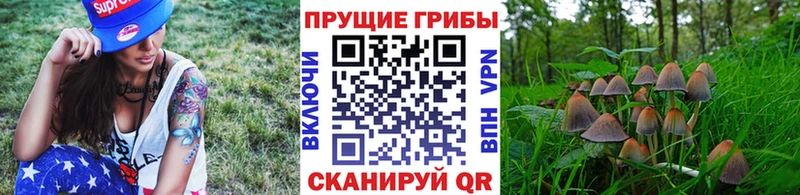 Галлюциногенные грибы Magic Shrooms  Гудермес 